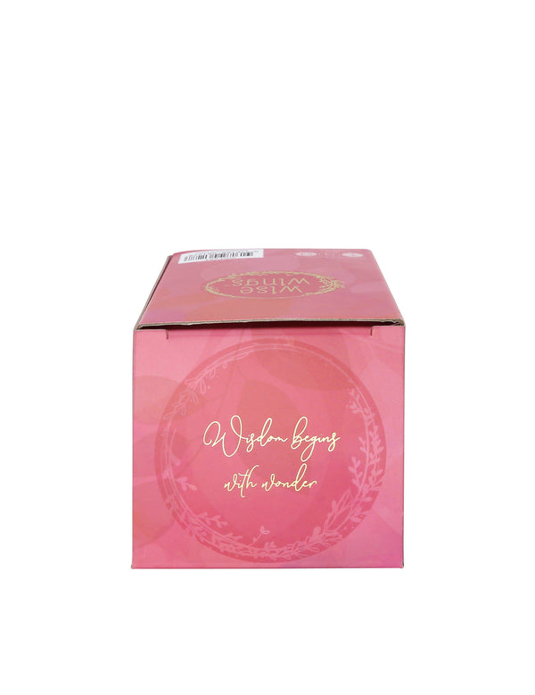 Wisdom Wise Wings Owl Figurine