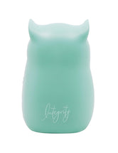 Integrity Wise Wings Owl Figurine