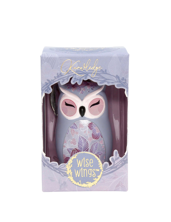 Knowing Yourself Wise Wings Owl Keychain